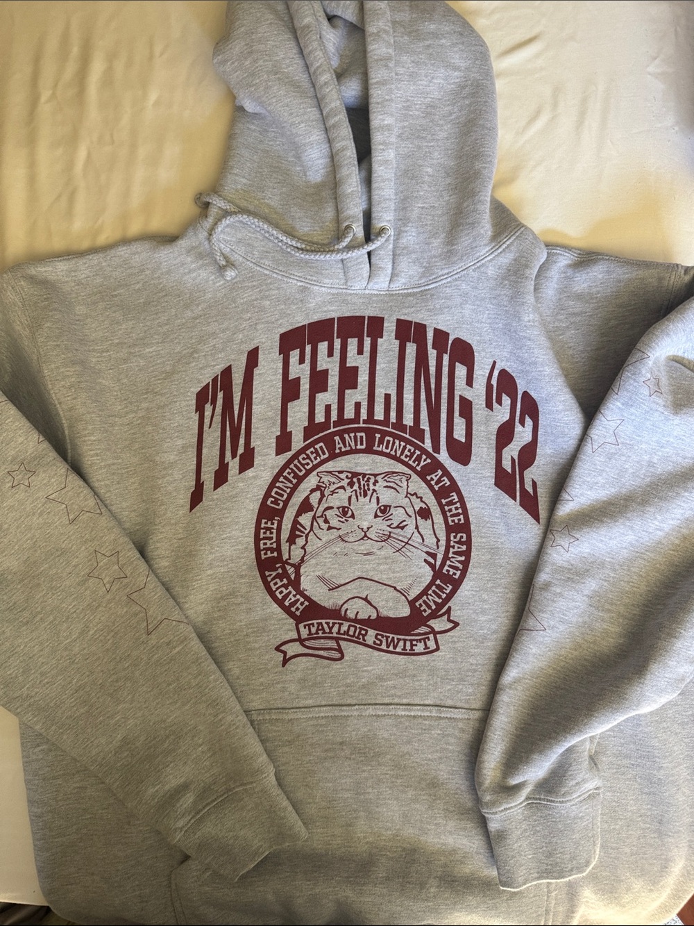 RARE Taylor Swift "I'm Feeling '22" Gray Hoodie